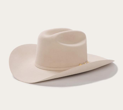 EL PRESIDENTE 100X SILVERBELLY SFPRES-484061 STETSON