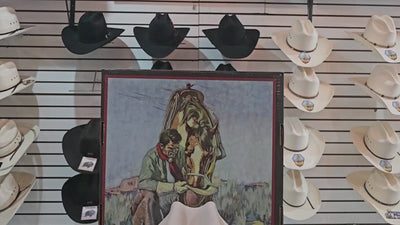 Tejana Stetson "Rancher" 6X Silverbelly