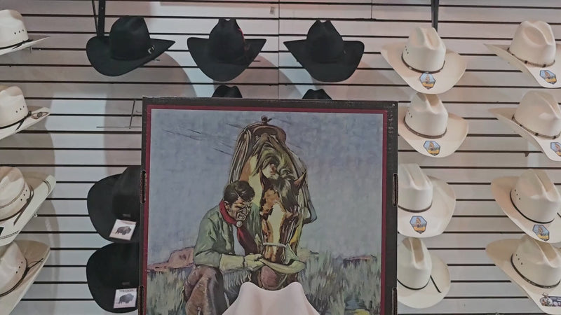 Tejana Stetson "Rancher" 6X Silverbelly