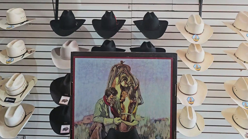 Tejana Stetson "Palacio" 6X Negra